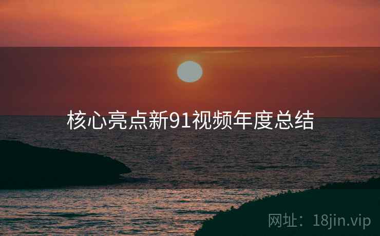 核心亮点新91视频年度总结