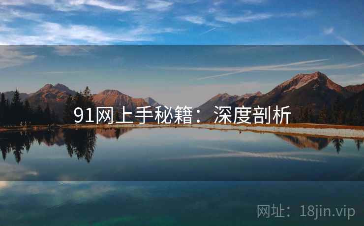 91网上手秘籍：深度剖析