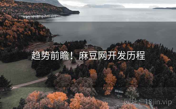 趋势前瞻！麻豆网开发历程
