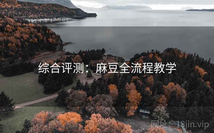 综合评测：麻豆全流程教学
