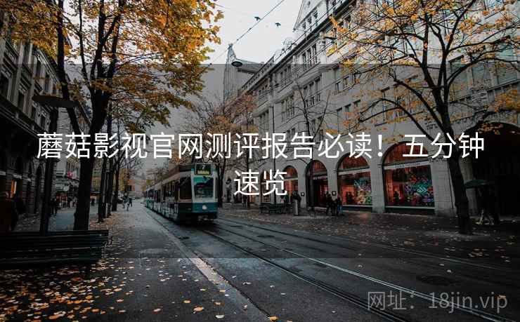 蘑菇影视官网测评报告必读！五分钟速览