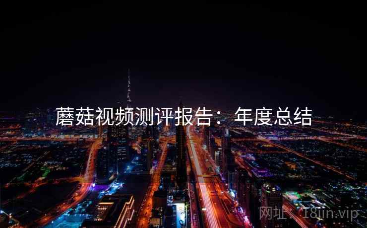 蘑菇视频测评报告：年度总结