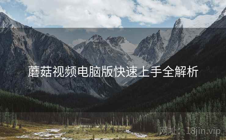 蘑菇视频电脑版快速上手全解析