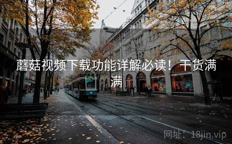 蘑菇视频下载功能详解必读！干货满满