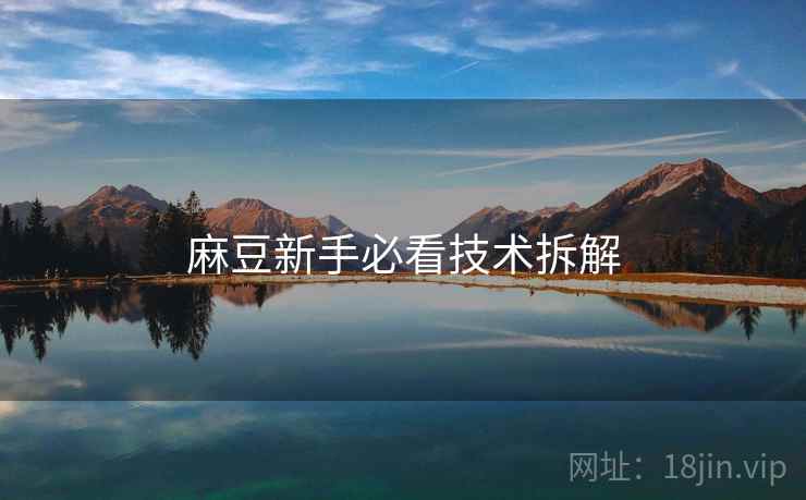 麻豆新手必看技术拆解