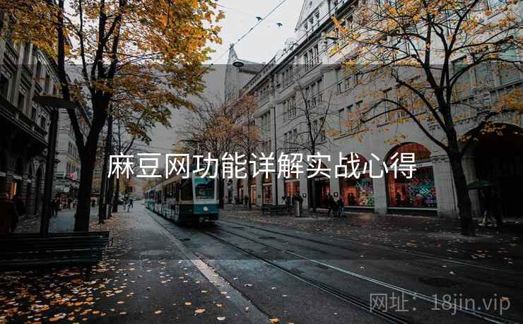 麻豆网功能详解实战心得