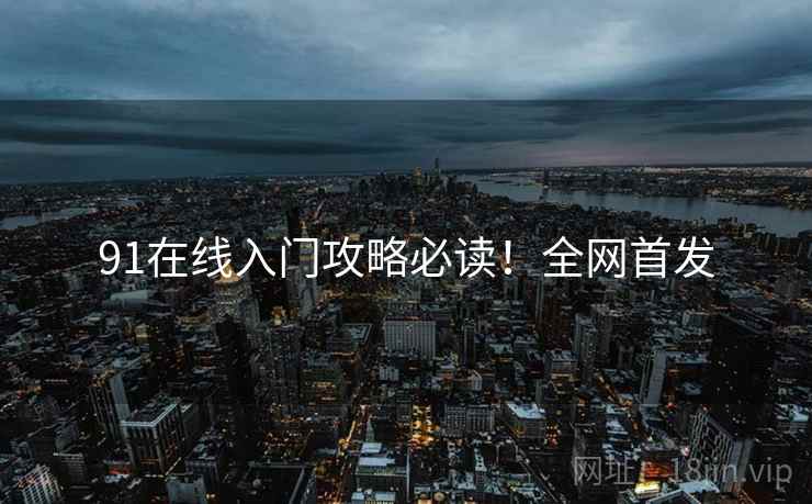91在线入门攻略必读！全网首发