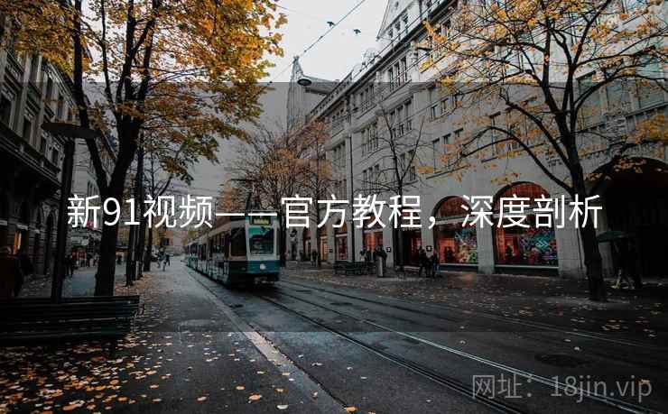 新91视频——官方教程，深度剖析