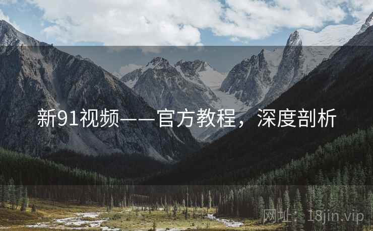 新91视频——官方教程，深度剖析
