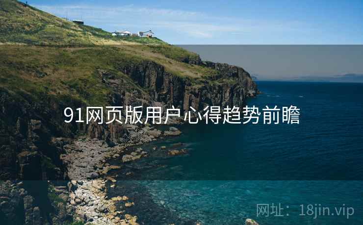 91网页版用户心得趋势前瞻
