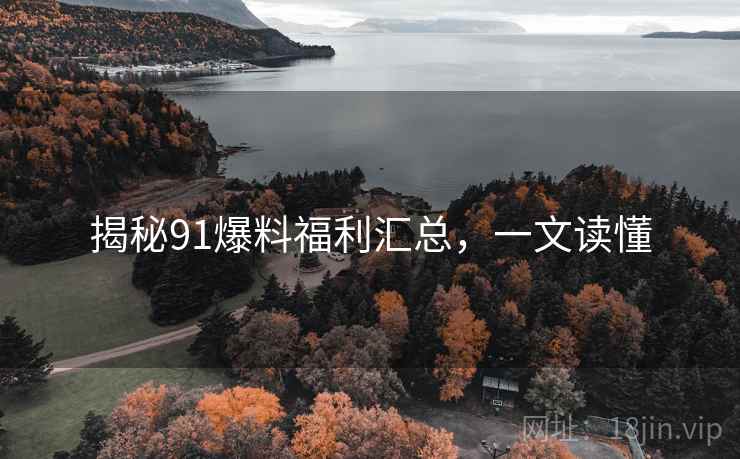 揭秘91爆料福利汇总，一文读懂