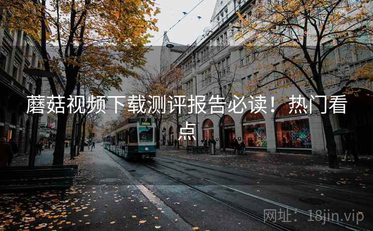 蘑菇视频下载测评报告必读！热门看点
