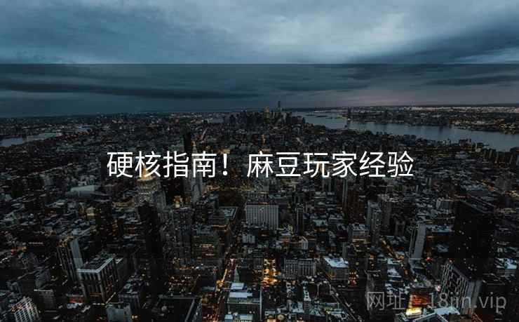 硬核指南！麻豆玩家经验