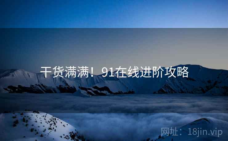 干货满满！91在线进阶攻略