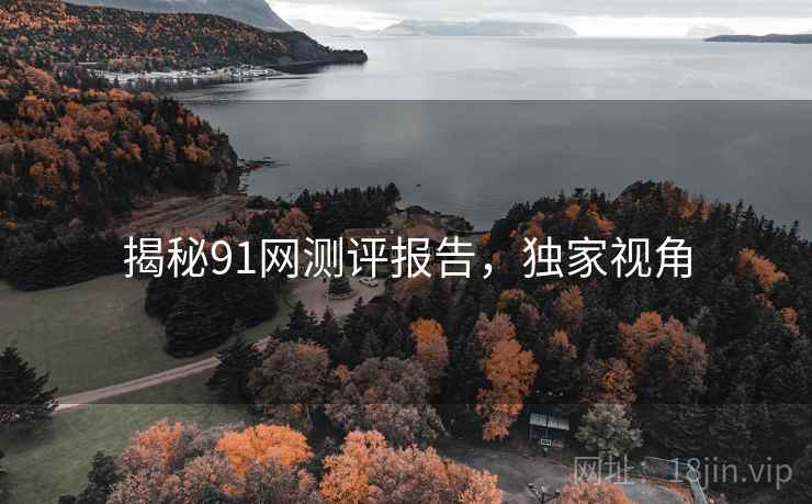 揭秘91网测评报告，独家视角