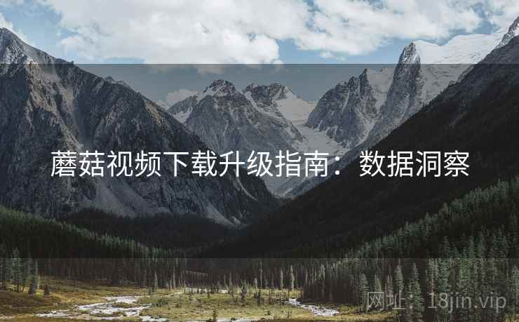 蘑菇视频下载升级指南：数据洞察