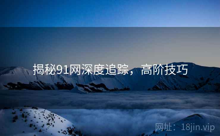 揭秘91网深度追踪，高阶技巧