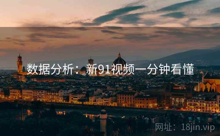 数据分析：新91视频一分钟看懂