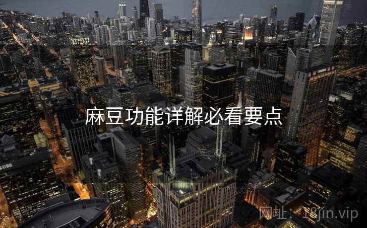 麻豆功能详解必看要点