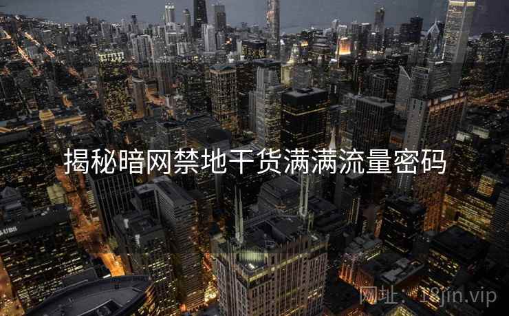 揭秘暗网禁地干货满满流量密码
