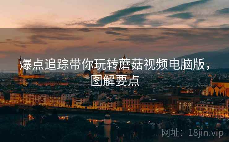 爆点追踪带你玩转蘑菇视频电脑版，图解要点